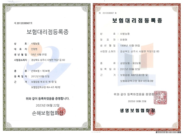 보험대리점 등록증